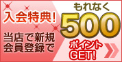�V�K����o�^��500�|�C���gGET�I